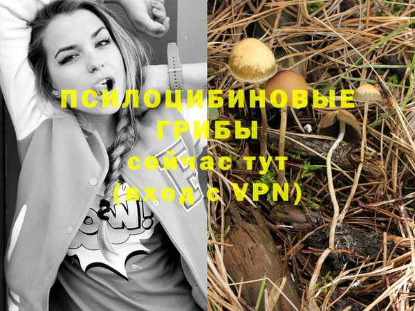 метадон Ростов