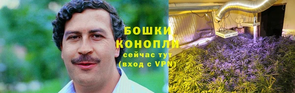 PSILOCYBIN Россошь