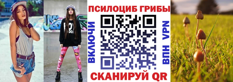 Галлюциногенные грибы мухоморы  блэк спрут ТОР  Кизляр 
